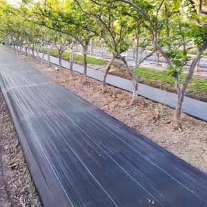 Tela Geotextil No Tejida, Tela Paisajística Geotextil, Tela de Cobertura del Suelo, Geotextil para Drenaje, Tapete de Control de Erosión - Product Image 4