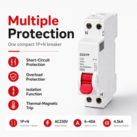 Interruptor Automático en Miniatura DZ47P MCB 1P+N 6A 10A 16A 20A 25A 32A 40A 230V AC 4.5kA Curva C D Riel DIN de 35 mm