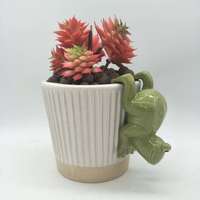 Miniatur Taman Peri Rumah Dekoratif Bantal Vas Pot Bunga Keramik Katak Lucu Menawan Minimalis