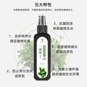 Solution nutritive universelle verte en spray Eight Old Heads One Spray Green 100ml sans dilution pour plantes - Product Image 2