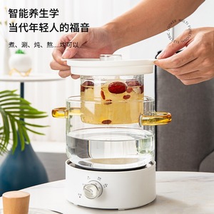 Bouilloire en verre 1,2 L pour infusions et bouillies, idéale pour le bureau et la maison, pour préparer des thés bienfaçants - Product Image 2