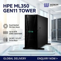 고성능 HPE ProLiant ML350 Gen11 4U 서버 2x 인텔 제온 골드 128GB DDR5 SSD AI 추론 데이터베이스 타워 서버