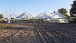 Dente di Sega idroponica Serra Per La Zona Tropicale - Product Image 5