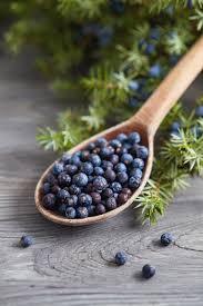 Juniperus Communis Gedroogde Eetbare Rauwe Kruiden Haubera Aaraar Zaad Hapusha Abhal Vapusha Groothandel Plant Extract Jeneverbes Bes - Product Image 2