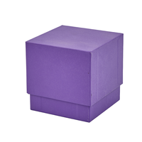 Boîte à bijoux portable personnalisable avec couvercle gaufré et base rembourrée, emballage en papier personnalisé pour cadeaux, emballage de bijoux