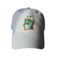 Gorras de Béisbol Bordadas a Mano con Diseño Personalizado, Logotipo en Parche Tejido, Color Azul Marino, para Senderismo al Aire Libre, Impermeables, Unisex, con Visera Curva