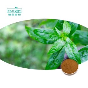 <span class=keywords><strong>Andrographis</strong></span> Paniculata粉末30% <span class=keywords><strong>Andrographis</strong></span> Paniculataエキス - Product Image 1
