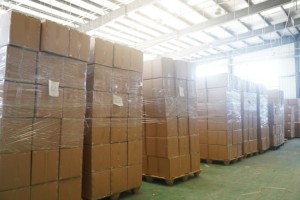 Integratori Erboristici di Supporto Antibiotico per Cani: Allevia Tosse, Allergie, Prurito, Migliora il Sistema Immunitario, Sollievo da Infezioni Urinarie, Adatto a Tutti i Cani - Product Image 6