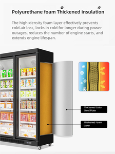 Tủ trưng bày đồ uống thương mại với cửa kính đơn nhiệt độ dọc tủ đông điều khiển nhiệt độ cơ học - Product Image 6