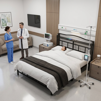 Lit double en fer forgé en promotion pour la maison, l'hôpital, l'appartement, la suite, l'école, l'hébergement, avec port de charge intégré