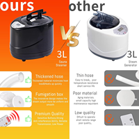 Machine à vapeur portable 3L à chauffage rapide pour sauna domestique, réglable en temps et en température, pour sauna à vapeur, thérapie de la tête, SPA, bain de vapeur