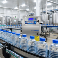 Impresora de Inyección de Tinta Continua de Caracteres Pequeños Automática Willita WLD-196 para Impresión de Número, Fecha y Código de Lote