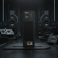 Module d'amplificateur de puissance audio en métal haut de gamme 1000W 8Ohm Classe D Module d'amplificateur de puissance pour ligne de sonorisation