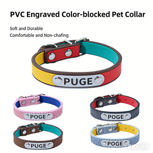 Collier pour chien neuf d'usine, accessoires pour animaux de compagnie, collier pour chat en PVC avec lettrage et couleurs assorties - Product Image 5