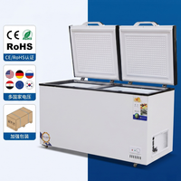 Réfrigérateur horizontal grande capacité à congélation rapide, congélateur à double porte
