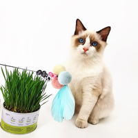 Usine directe nouveau dessin animé chat taquineries ensemble PVC fée cloches et plumes colorées résistant aux rayures résistant aux morsures chat jouets