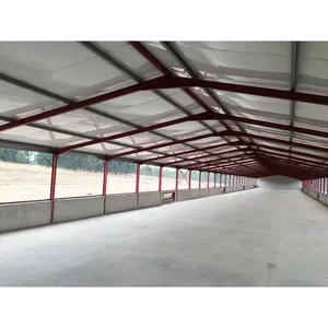 prefabricate steel structure warehouse/building africa poultry broiler / layer poultry farm design