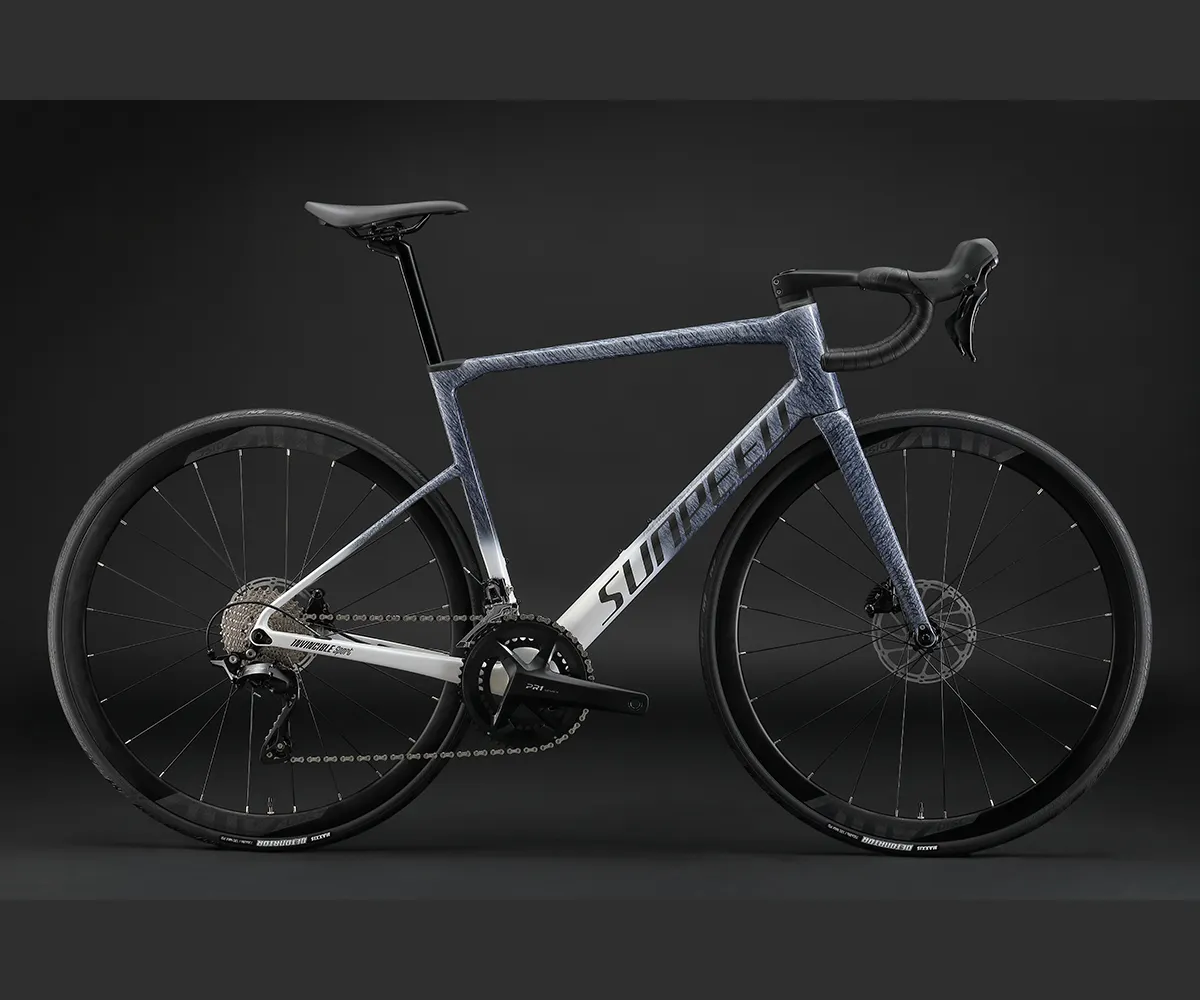 Carbon Fiber Bicycle Full Carbon Fiber Frame SHIMANO-2*12 Speed Endurance Road Bike For Adults