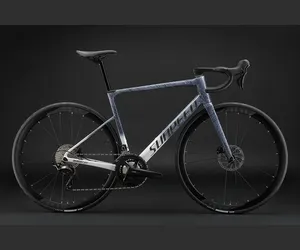 碳纤维自行车全碳纤维车架SHIMANO-2 * 成人12速耐力公路自行车