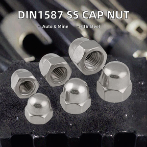 Écrou à tête cylindrique certifié DIN 1587 en acier inoxydable 304, filetage M10, finition couleur naturelle pour l'industrie automobile - Product Image 2