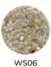 WS06