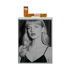 Hipoink оптовая продажа 10,3 дюймов черный белый двухцветный дисплей с электронными чернилами 10 дюймов - Product Image 2