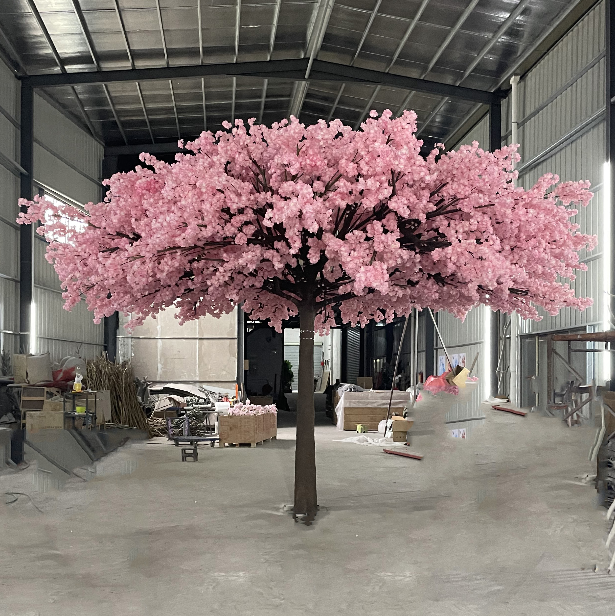 5ft white cherry blossom tree