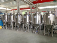 Cuve de Fermentation Conique de 250L pour Bière avec Enveloppe de Refroidissement à Glycol à Vendre