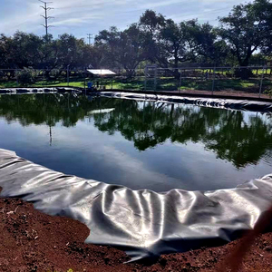 Geomembrana HDPE 100% Virgen de 1.5mm de Espesor, Lámina Impermeable para Estanques de Koi, Geomembrana HDPE para Piscifactorías 100% V - Product Image 1