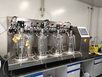 Biorreactor de Vidrio para Laboratorio, Tanque de Fermentación, Maquinaria Química, Fermentador Bailun Blbio-5gc