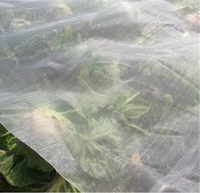 Agriculture 5 ans d'utilisation filet anti-insectes/serre 20*20mesh filet anti-insectes filet anti-insectes agricole