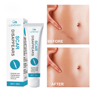 Lanemay Plant Extract Zachte Formule Arbutine Nicotinamide Diepe Reparatie Litteken Verwijdering Crème 20G <span class=keywords><strong>Gel</strong></span> Draagbare Veilige Aangepaste Logo Voor - Product Image 1