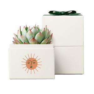 <span class=keywords><strong>Cactus</strong></span> <span class=keywords><strong>Compost</strong></span> Repotting Vintage Farmhouse Rectangular Macetas suculentas Caja de jardineras de madera Centros de mesa Summer Sun Bliss Garden - Product Image 1