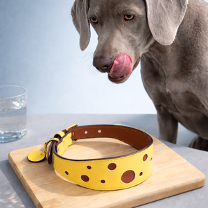 Collar de Perro de Cuero PU de Lujo, Forro Acolchado Ancho y Suave, Hebilla Ajustable, Placa de Identificación Grabada Personalizada, Venta al por Mayor - Product Image 2