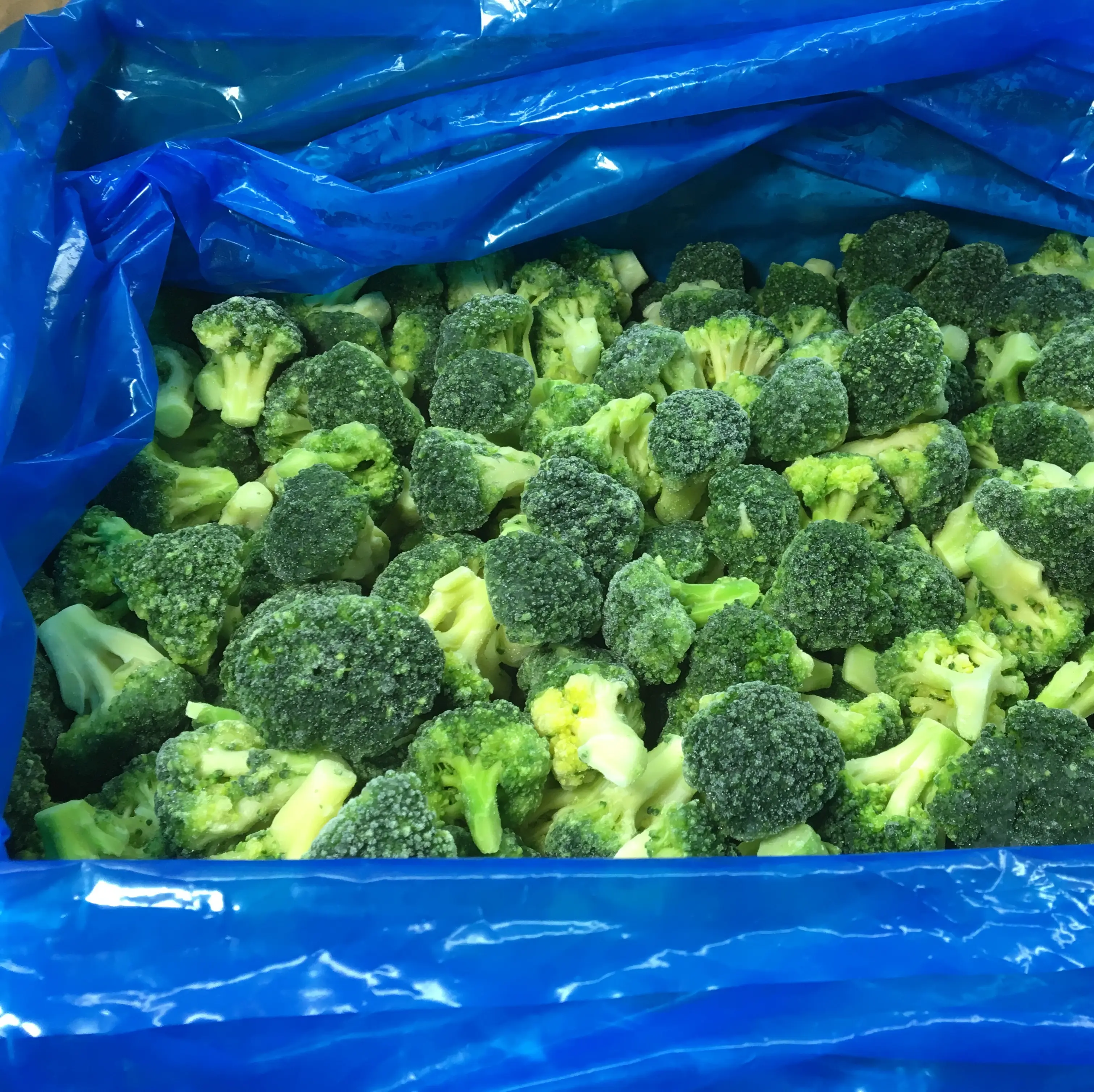 Bester Preis und Service Großhandel Bulk IQF Frozen Vegetable Broccoli