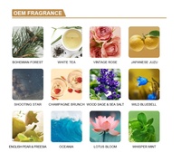 Vente en gros Coffret cadeau personnalisé d'aromathérapie Premium Décoration intérieure Bocal en verre d'huiles essentielles Pierre de cristal Diffuseur de parfum pour la maison