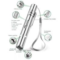 Pointeur laser interactif en acier inoxydable étanche rechargeable par USB 3 en 1 personnalisé, jouet d'entraînement imprimé UV, cadeaux pour chats