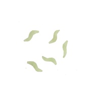 Acclamé Trick quantité minimale de commande 600 Cute Tricks EN71 BSCI Nouveauté Blagues Gag Plastique Assortiment Insectes Jouet Coffret Cadeau
