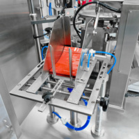 Machine d'emballage entièrement automatique pour sacs préformés de chicha, machine d'emballage de sacs de mélasse de chicha à huit stations