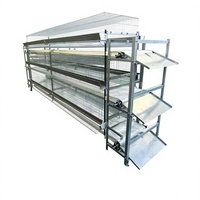 Cage à poules de type H avec système de nettoyage manuel du fumier par manivelle pour élevage avicole