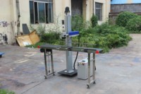 Marqueur laser à fibre pour bande transporteuse automatique 20w 30w 50w pour matériaux métalliques et non métalliques