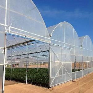 Invernadero de Túnel Metálico con Estructura de Polietileno para Agricultura, Suministro de Fábrica - Product Image 4