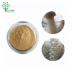 Échantillon gratuit de poudre de champignon trompette royal de qualité alimentaire, extrait de Pleurotus eryngii, polysaccharide, extraction par solvant, emballage en fût - Product Image 6
