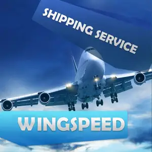 Goedkoopste Logistiek Verzendkosten Amazon Koeriersdienst Te Deur Usa/Europa Lucht/Zee/Express Cargo Agent China expediteur