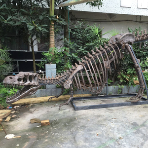 Trung Quốc Khủng Long hóa thạch điêu khắc nhà sản xuất kích thước cuộc sống khủng long sọ thực T Rex <span class=keywords><strong>Skeleton</strong></span> để bán - Product Image 2