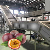 Industriële Passievruchtensap Productielijn Zaadafscheider Juicer Machine Verwerkingslijn