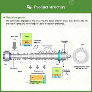 Presse à huile automatique à vis pour coprah de noix de coco et huile de palme, fabrication aux Philippines, en promotion - Product Image 4