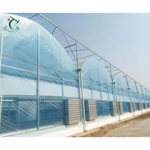 Invernadero comercial multifuncional <span class=keywords><strong>de</strong></span> plástico para agricultura, túnel multiusos <span class=keywords><strong>de</strong></span> plástico hidropónico <span class=keywords><strong>de</strong></span> <span class=keywords><strong>fresa</strong></span>, gran tamaño - Product Image 6