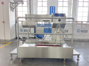 Lavascarpe Automatico Intelligente per <span class=keywords><strong>Pulizia</strong></span> e Disinfezione, Attrezzatura per Officine - Product Image 5