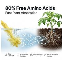 Engrais en poudre d'acides aminés Amino 80, stimulant de croissance des plantes pour l'hydroponie et l'application foliaire, certifié OMRI